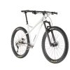 Mtb Hardtails | Orbea Orbea Laufey H10 Grau