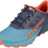 Laufschuhe | Dynafit Dynafit Alpine Schuhe Herren Blau