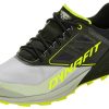 Laufschuhe | Dynafit Dynafit Alpine Schuhe Herren Schwarz/Grau