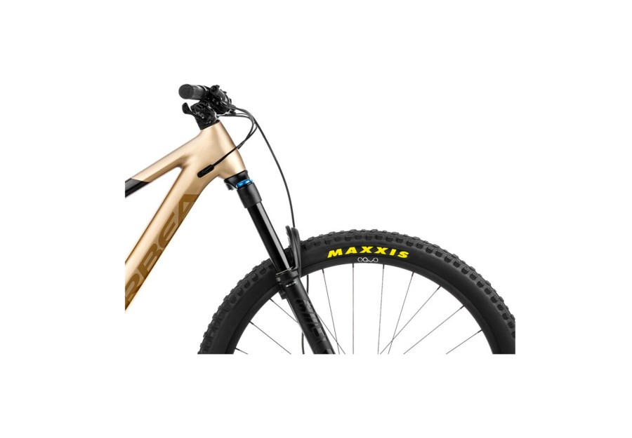 E-Mountainbikes | Orbea Orbea Rise H10 Schwarz/Gold