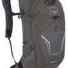 Rucksacke & Taschen | Osprey Osprey Syncro 12 Rucksack Herren Grau