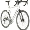 E-Bikes Rennrad | Orbea Orbea Gain D50 Silber/Schwarz