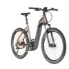 E-Bikes Trekking | HAIBIKE Haibike Trekking 9 Cross Low-Step Grau