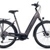 E-Bikes Trekking | Cube Cube Supreme Sport Hybrid Sl 625 Easy Entry Braun