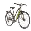 E-Bikes City | Diamant Diamant 365 Deluxe Trapez Grun