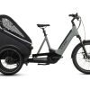 E-Lastenfahrrader | Cube Cube Trike Hybrid Family 750 Grau