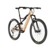 E-Mountainbikes | Orbea Orbea Rise H30 Braun