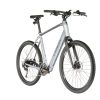 E-Bikes Trekking | Trek Trek Dual Sport+ 2 Grau